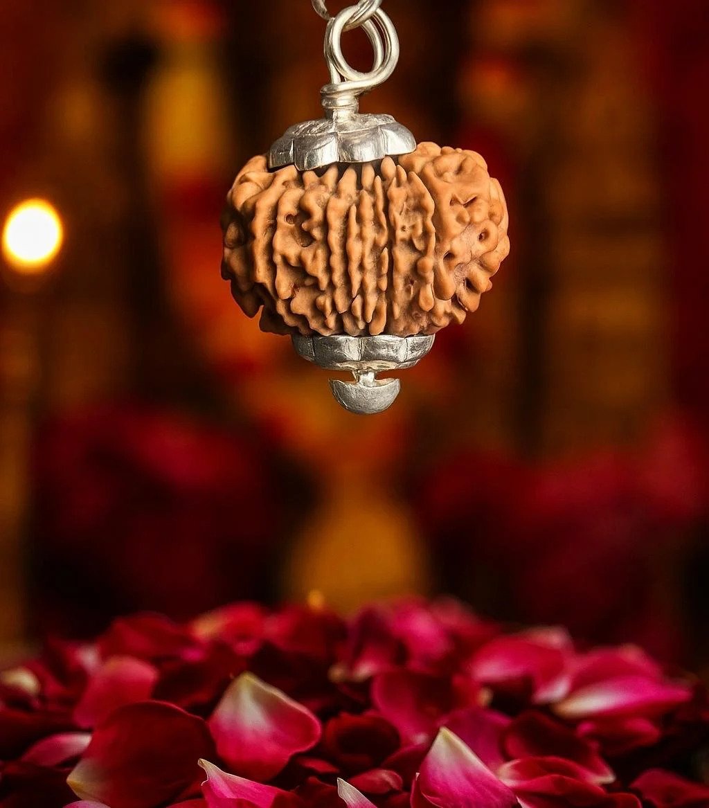 13 Mukhi Rudraksh
