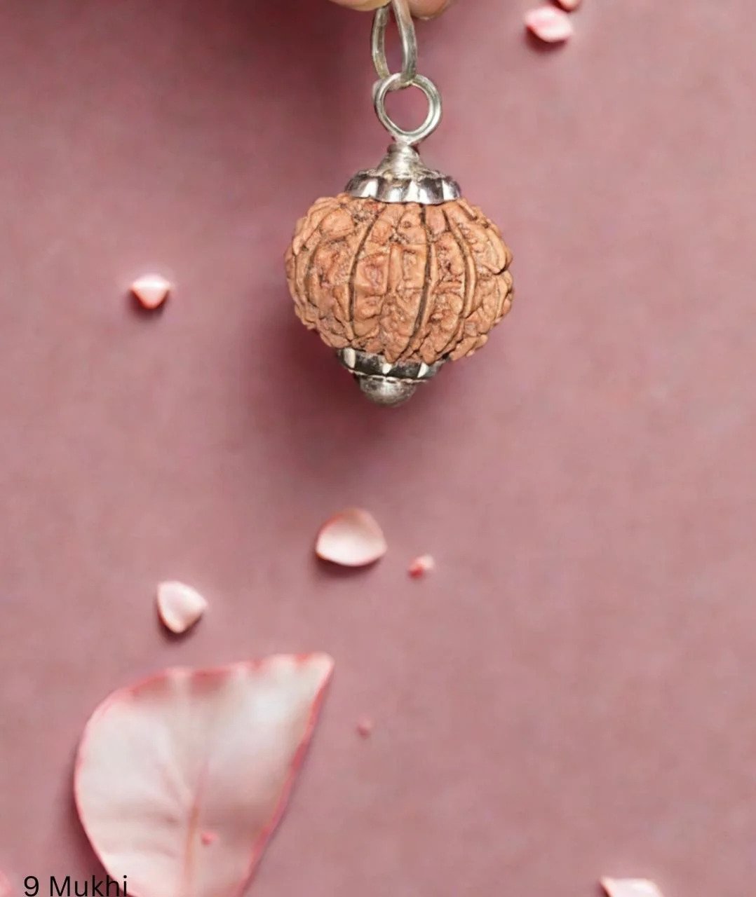 9 Mukhi Rudraksh