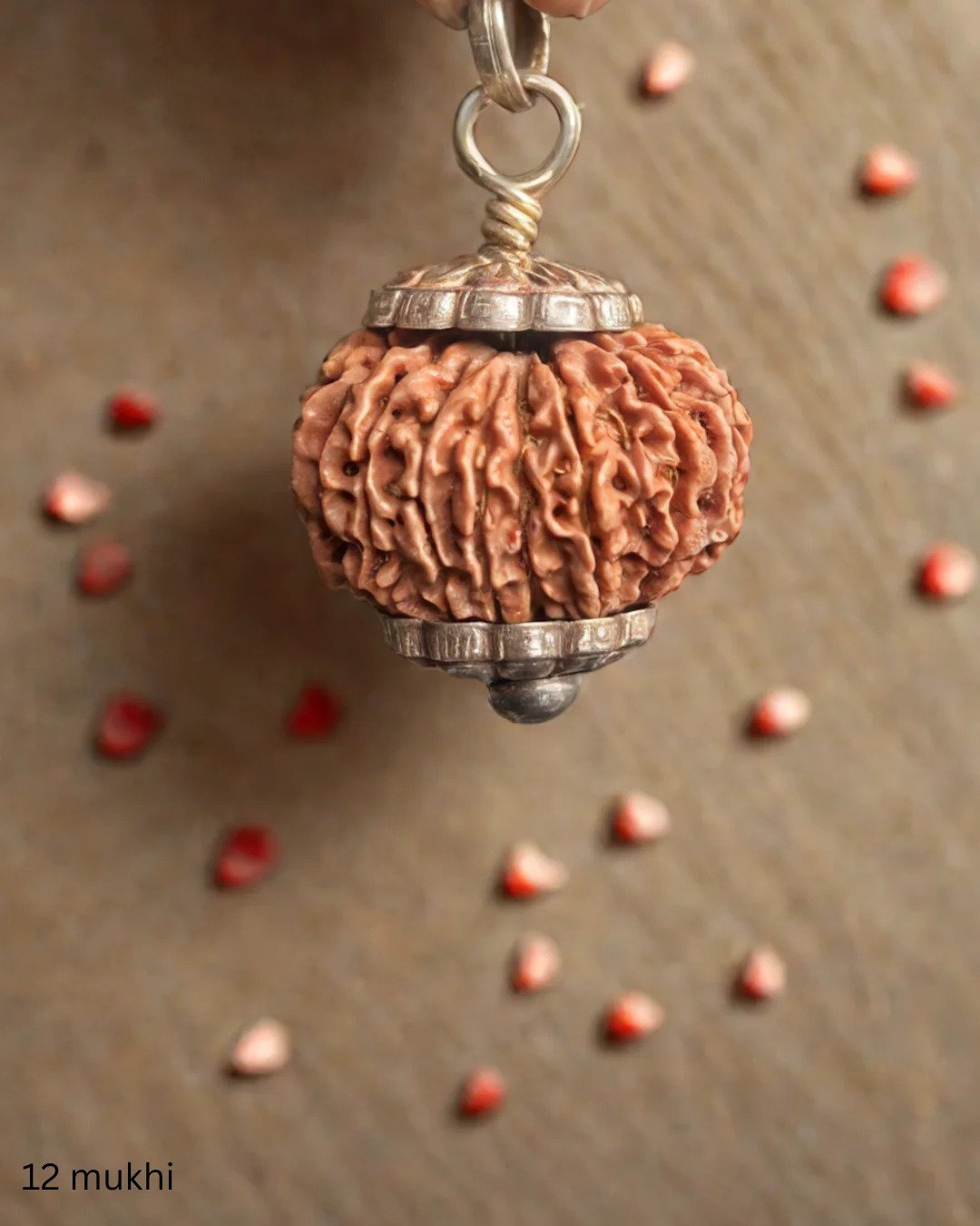 12 Mukhi Rudraksh