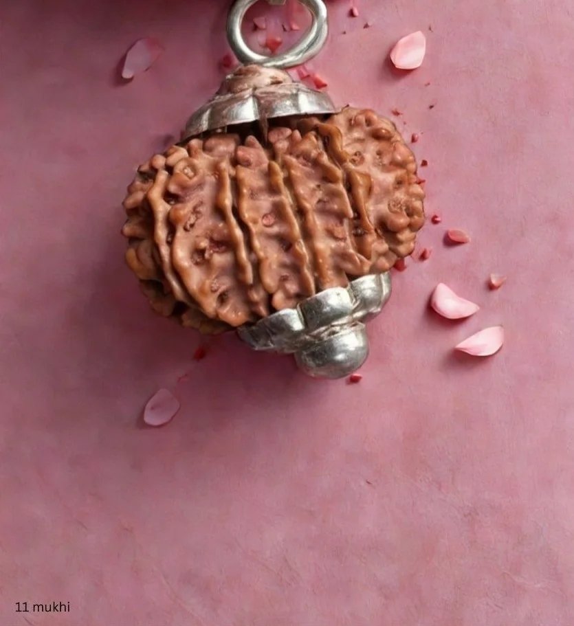 11 Mukhi Rudraksh