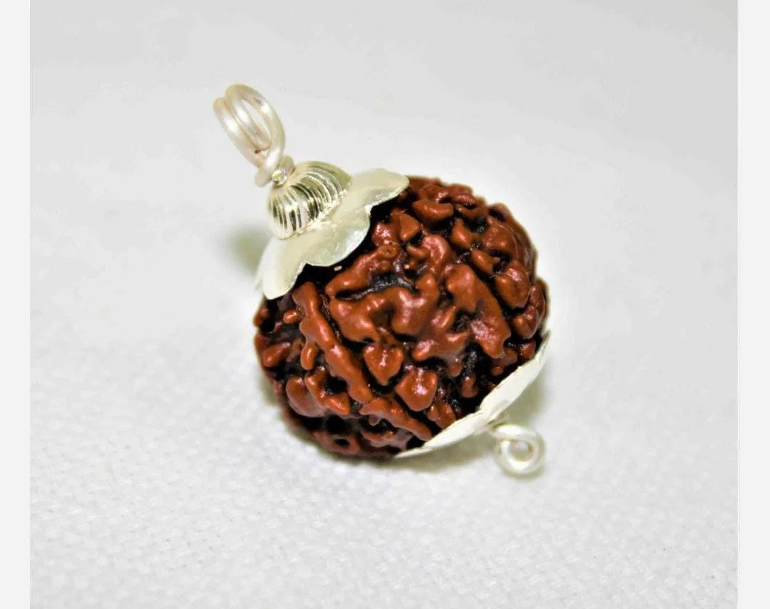 7 Mukhi Rudraksh